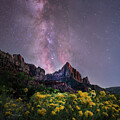 Night Sky Over Zion 