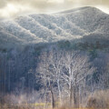 Smoky Mountains Winter Scene